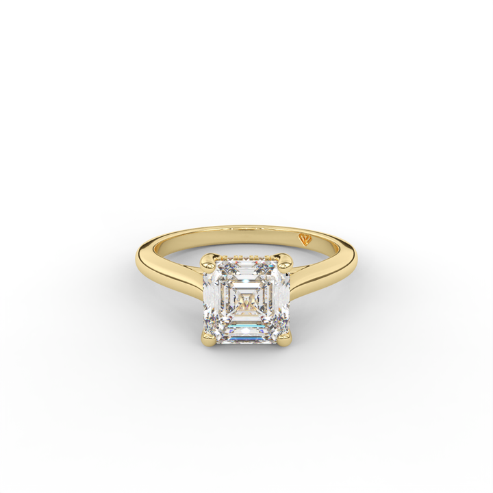 Stephanie - Classic Cathedral Hidden Halo Engagement Ring