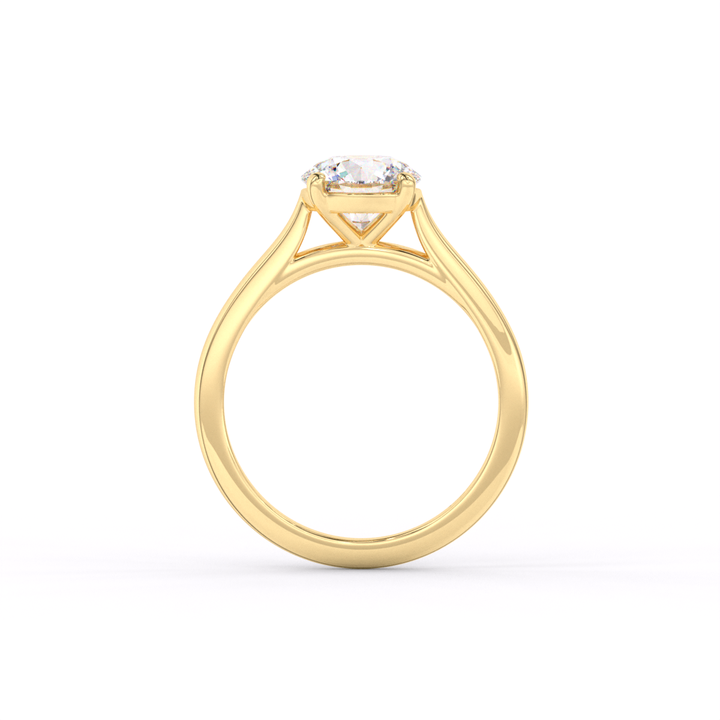 Melissa - Classic Cathedral Engagement Ring