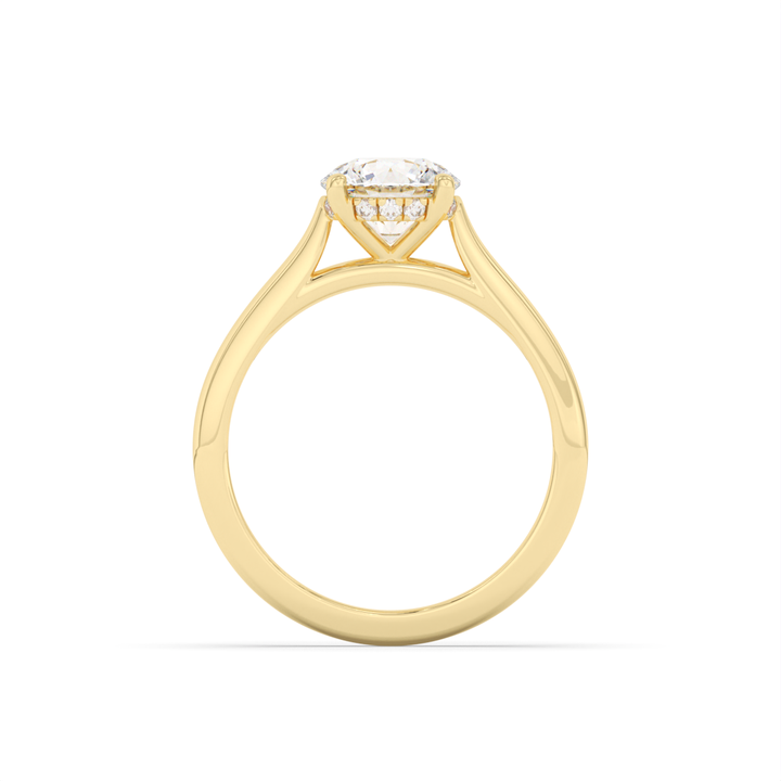 Stephanie - Classic Cathedral Hidden Halo Engagement Ring